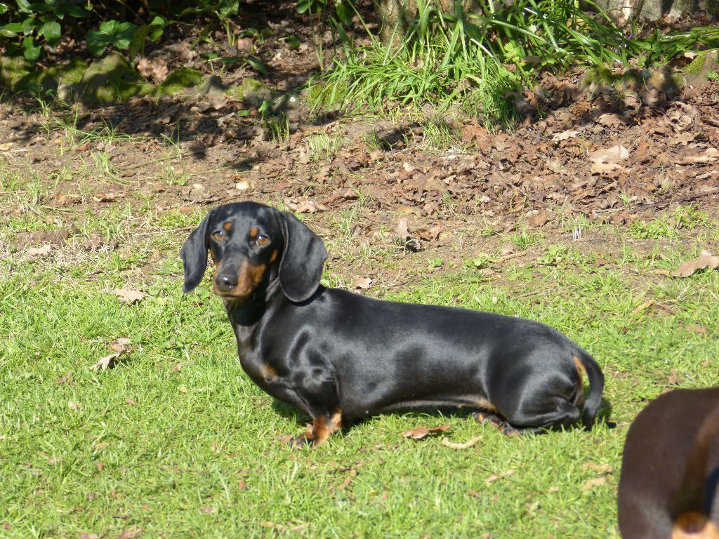 Voilà le soleil !!!!!!!